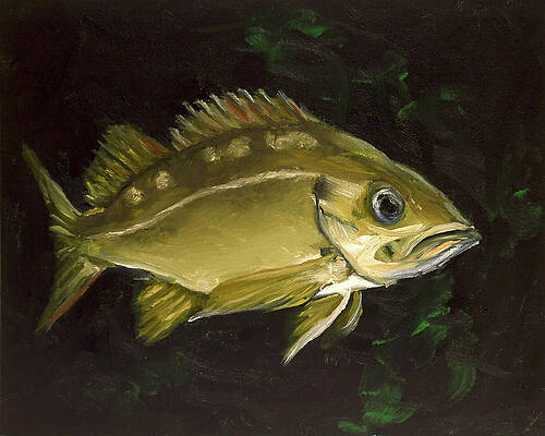 Gulf Reef Fish by Kelly Lane